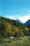 automne aux Verneys 2 001 